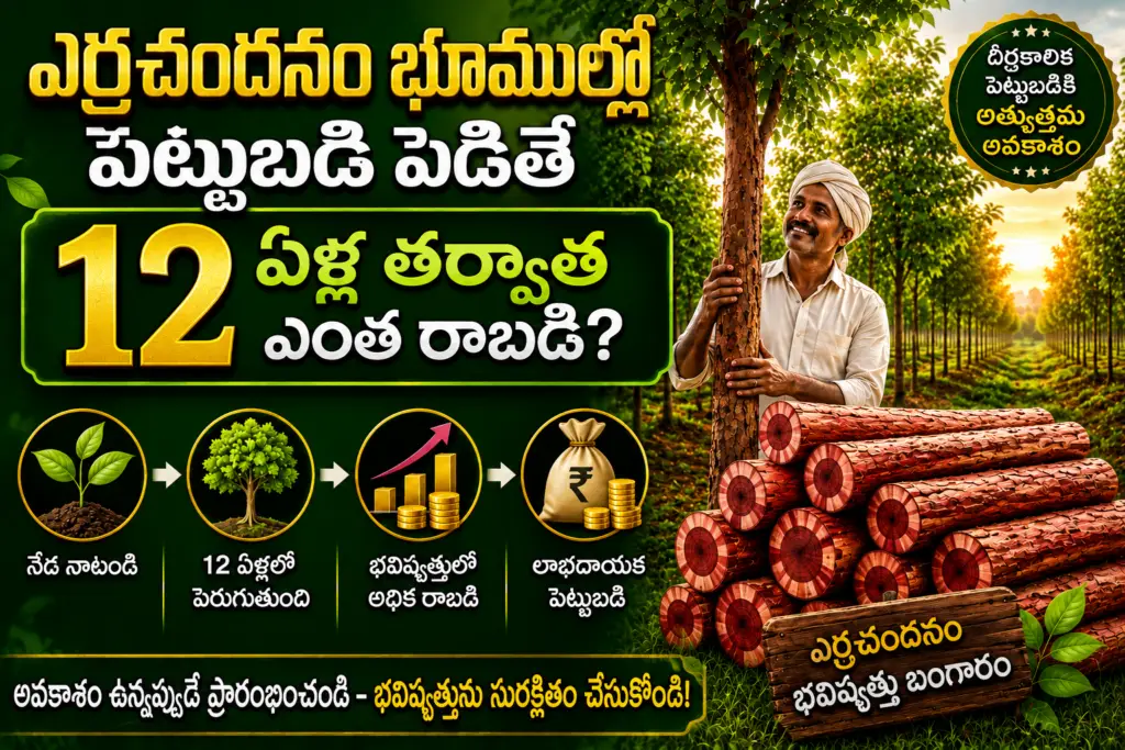 redsandalwood after 12 years